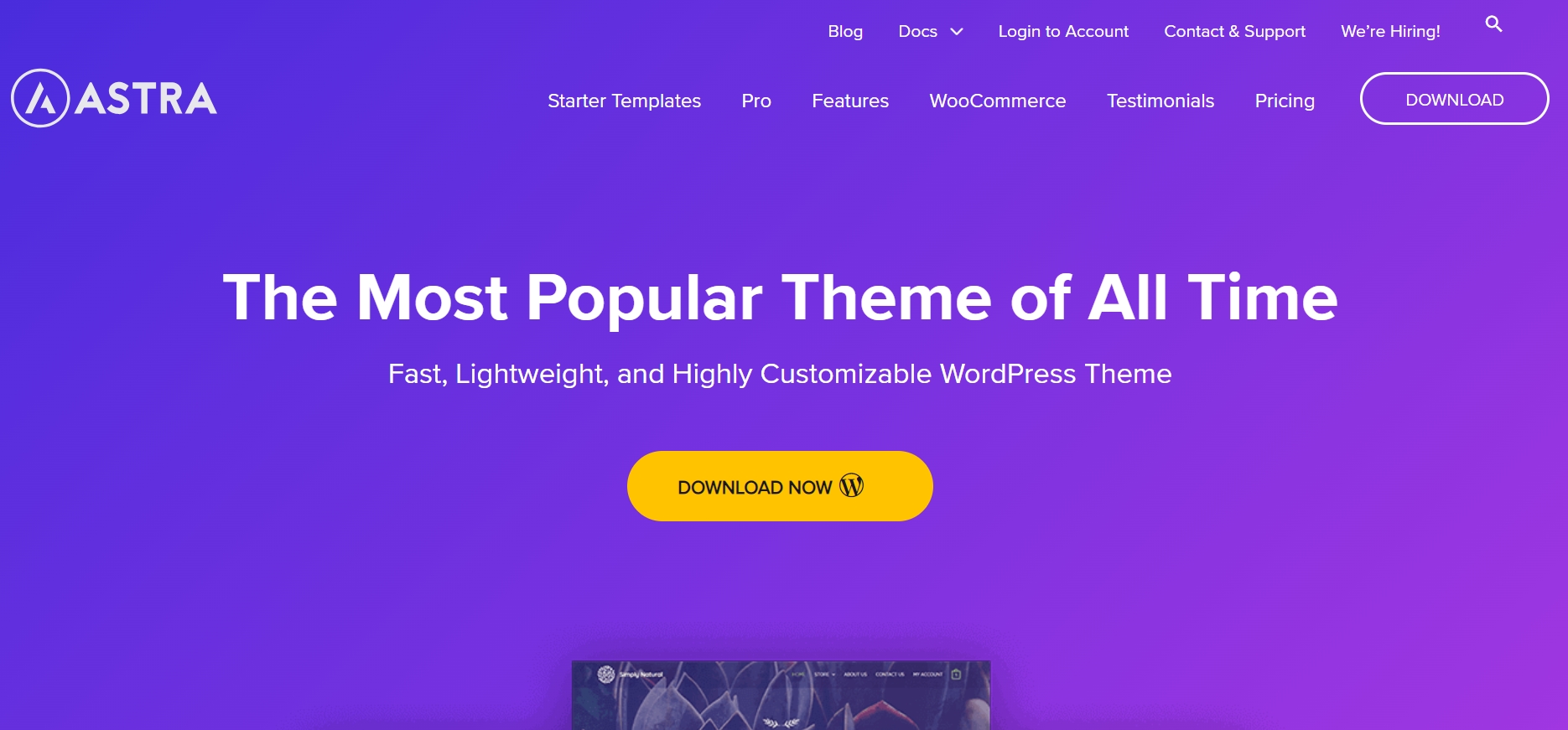 Fastest WordPress Themes